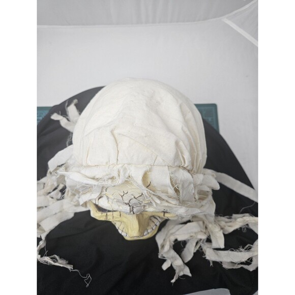 Vintage FUN WORLD DIV RIP Skull Skeleton Mask Long White Hair Halloween - Picture 5 of 10